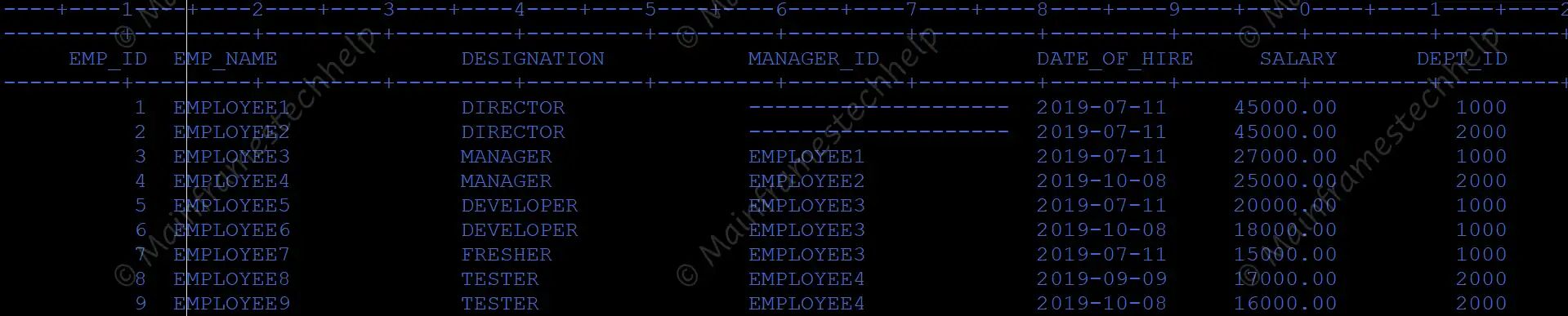 UPDATE CURSOR Program Output